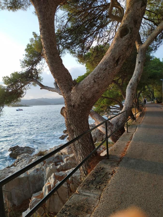Apartment Saul Cavtat Buitenkant foto