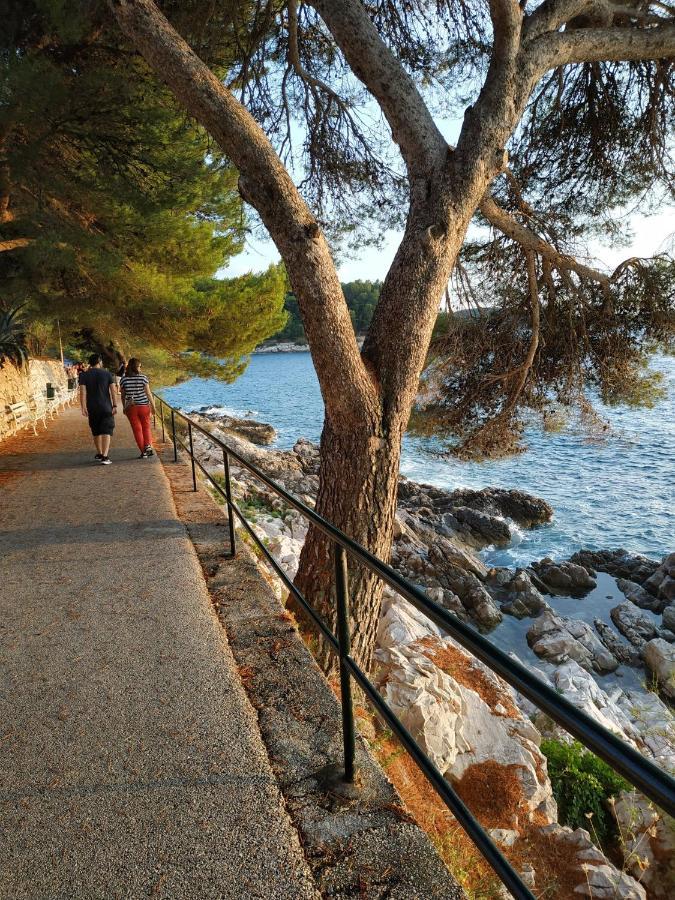 Apartment Saul Cavtat Buitenkant foto