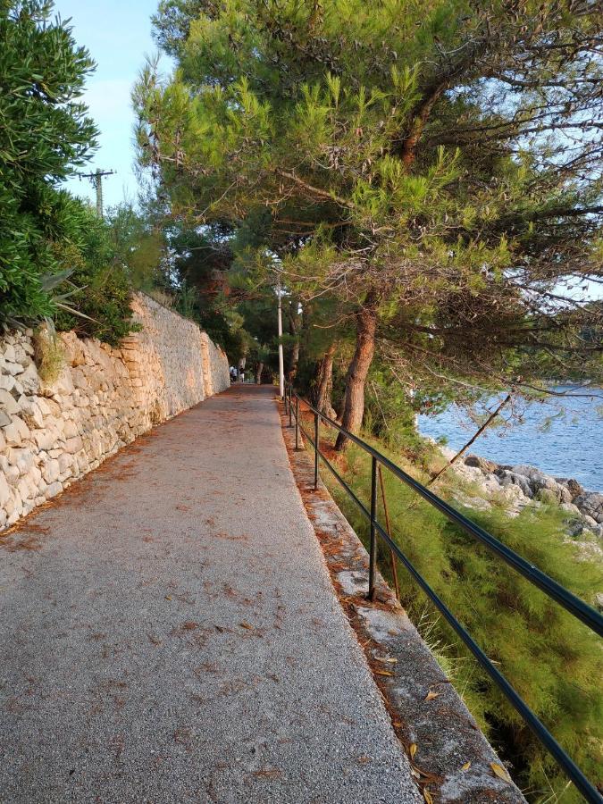 Apartment Saul Cavtat Buitenkant foto