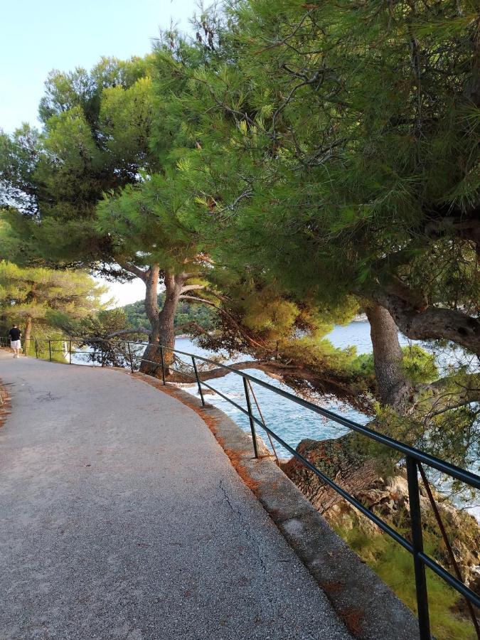 Apartment Saul Cavtat Buitenkant foto